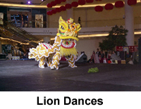 lion dance gallery